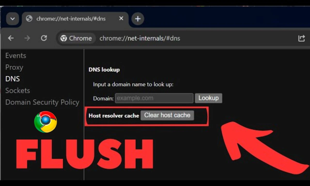 Chrome.//net-internals/dns mobile: A Comprehensive Guide