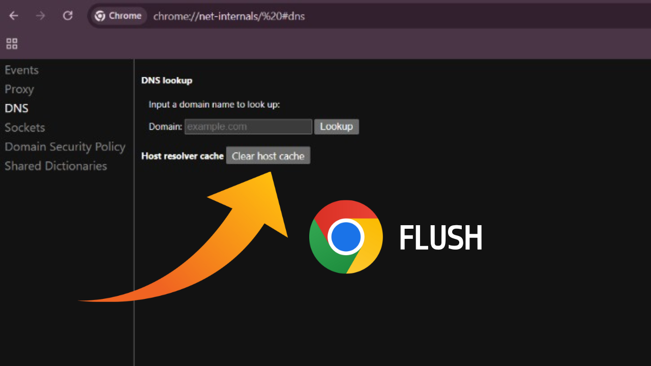 How to Use Chrome’s “chrome://net-internals/#dns” on Mobile for Efficient DNS Management