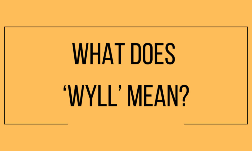 wyll meaning in text