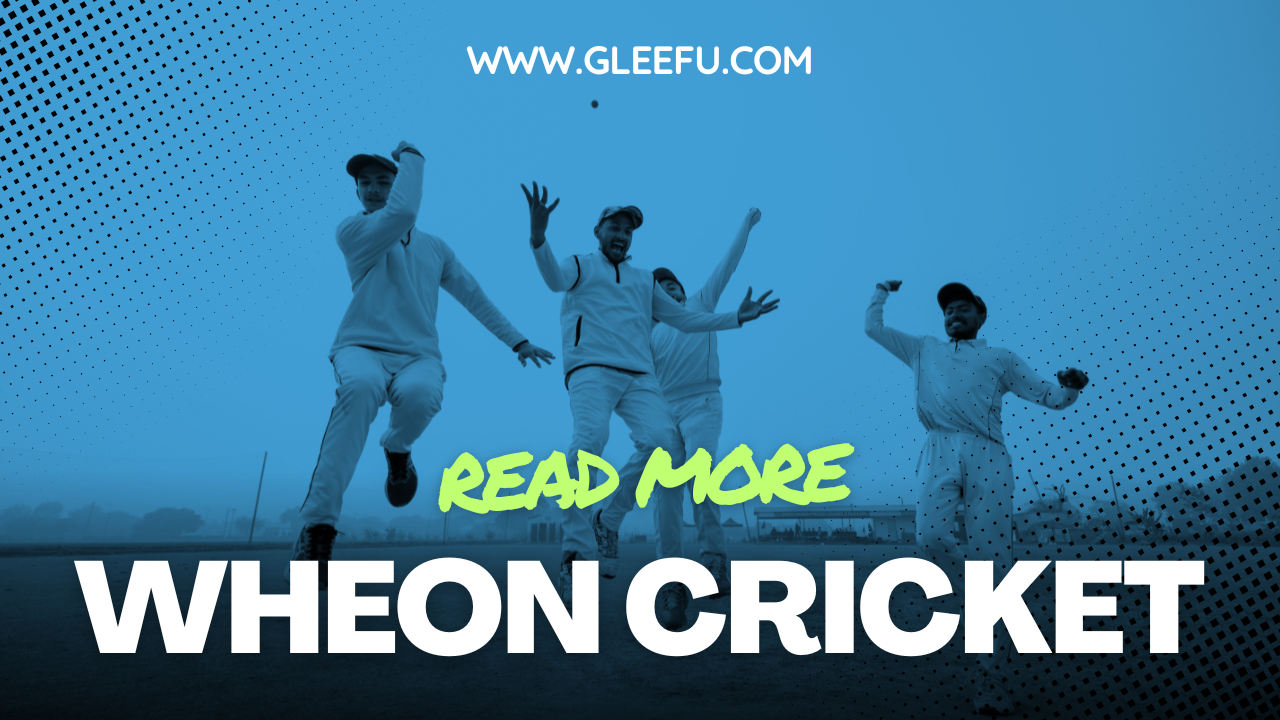 Wheon Cricket 07: Experience Fast-Paced Cricket Action Like Never Before