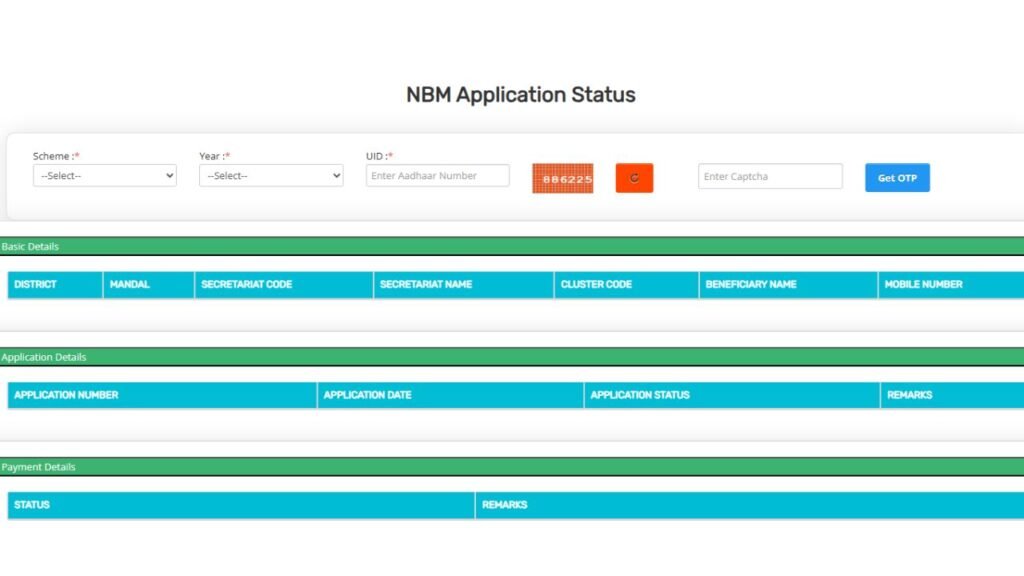 What is NBM Application Status?